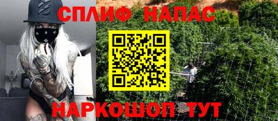 ПСИЛОЦИБИНОВЫЕ ГРИБЫ Северобайкальск